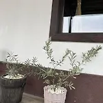 Guest house бялата къща Chakalarovo