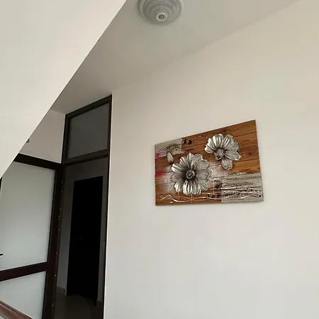Guest house бялата къща