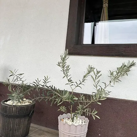 Guest house бялата къща Chakalarovo