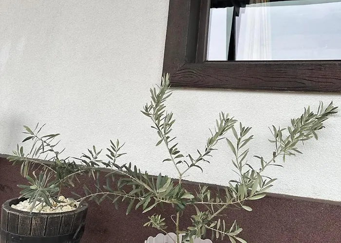 Maison d'hôtes бялата къща Chakalarovo